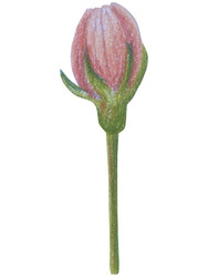 Similar image 22621479