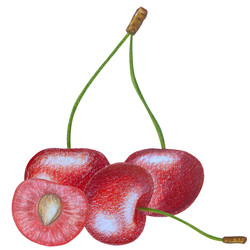 Similar image 22621480