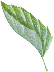 Similar image 22621482