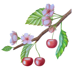 Similar image 22621484