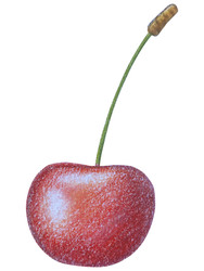 Similar image 22621485