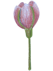 Similar image 22621486