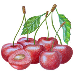 Similar image 22621488