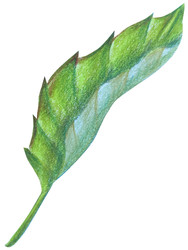 Similar image 22621491