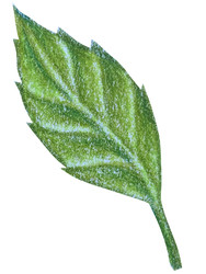 Similar image 22621492