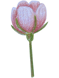 Similar image 22621495