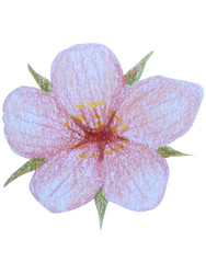 Similar image 22621498