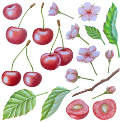 Similar image 22621499