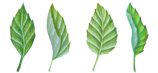 Similar image 22621500