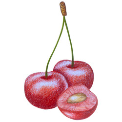 Similar image 22621503