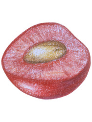 Similar image 22621506