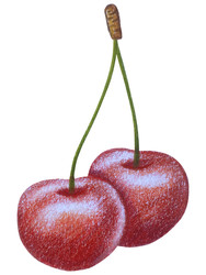 Similar image 22621511