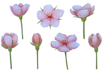 Similar image 22621512