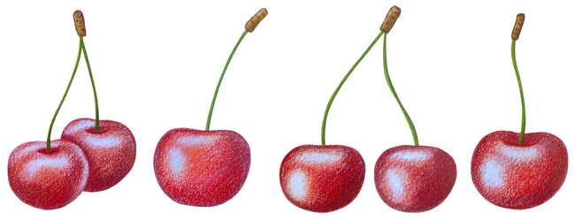 Similar image 22621513