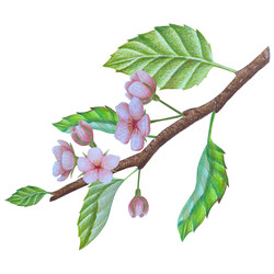 Similar image 22621515