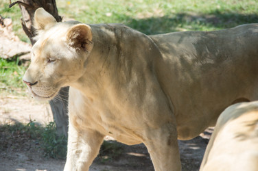 Similar image 22623381