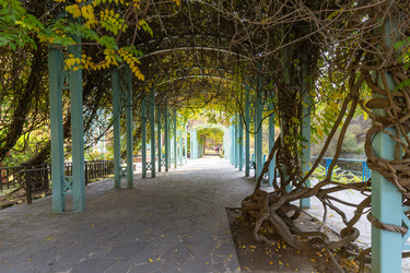 Similar image 22623398