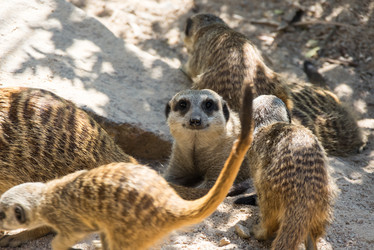 Similar image 22623399