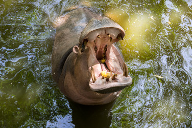 Similar image 22623401