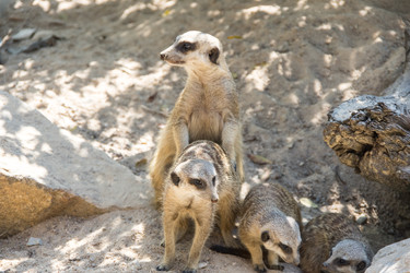 Similar image 22623402