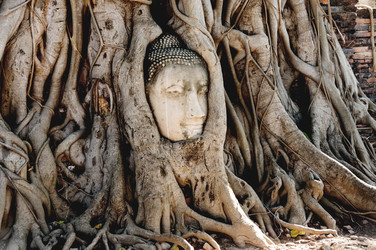 Similar image 22623410