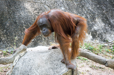 Similar image 22623412