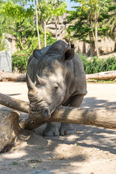 Similar image 22623417