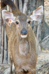 Similar image 22623427