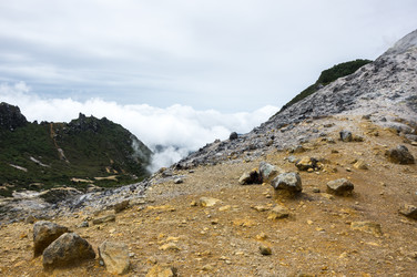 Similar image 22623428