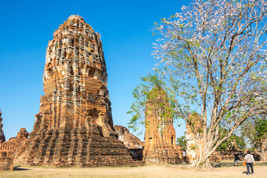 Similar image 22623434