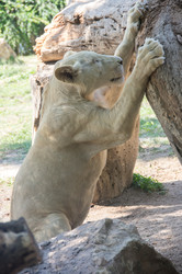 Similar image 22623436