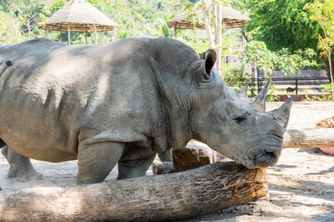 Similar image 22623453