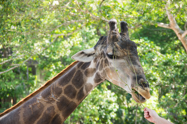 Similar image 22623265