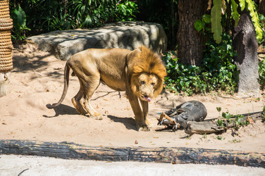 Similar image 22623266