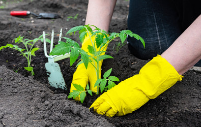 Similar image 22621535