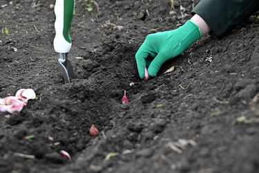 Similar image 22621537