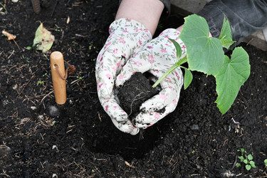 Similar image 22621541