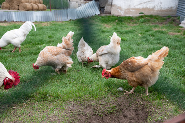 Similar image 22621542