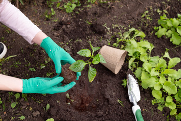 Similar image 22621543