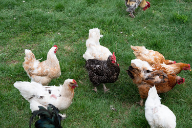 Similar image 22621544