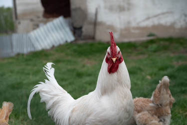 Similar image 22621545