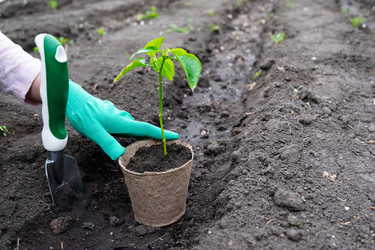 Similar image 22621546