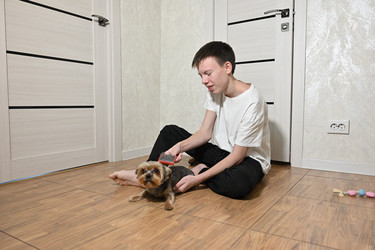 Similar image 22621555