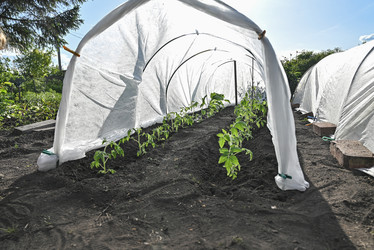 Similar image 22621562