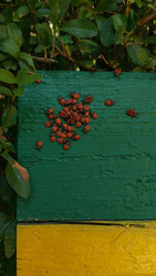 Similar image 22641231