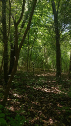 Similar image 22641235