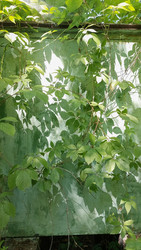 Similar image 22641236