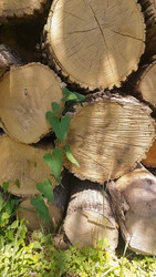 Similar image 22641237