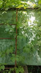 Similar image 22641238