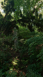 Similar image 22641239